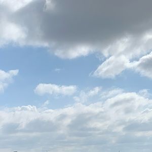 Meet your Posher, Tamara